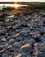 Sunlight reflected on stones on beach