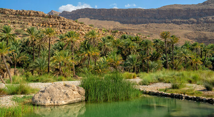 Oman. Oasis Wadi Bani Khalid. Lagoon with fresh emerald water and beautiful rocks	