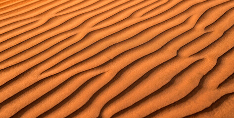 Desert Background. Sand dune texture. Oman, Wahiba Desert