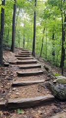Fototapeta premium Scenic wooden steps leading through a lush green forest trail.