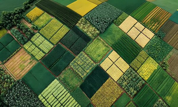Aerial view of vibrant agricultural fields in various shades of green and yellow.