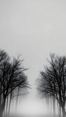 Minimalist monochrome black and white forest silhouette HD phone wallpaper
