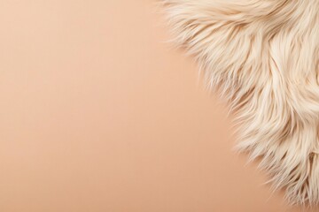 Soft fur texture on a warm, neutral background.