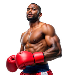 A muscular heavyweight pro boxer wearing red boxing gloves, isolated