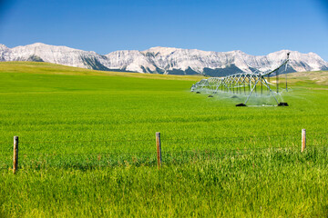 Center Pivot Irrigation Equipment