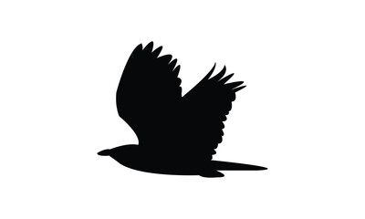 Flying Roller Bird Silhouette Design  And Vector Illustration. 
