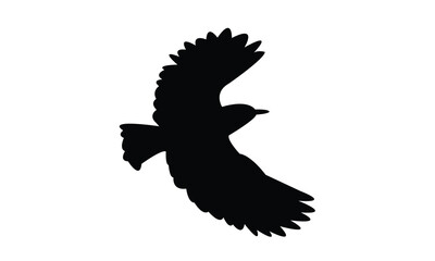 Flying Roller Bird Silhouette Design  And Vector Illustration. 
