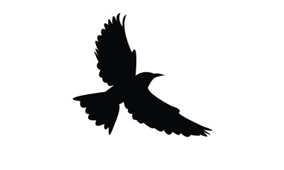 Flying Roller Bird Silhouette Design  And Vector Illustration. 
