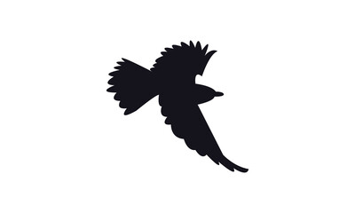 Flying Roller Bird Silhouette Design  And Vector Illustration. 
