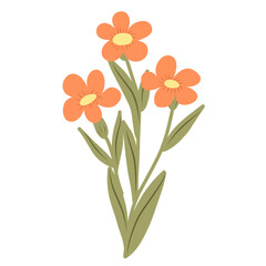 Orange flowers 