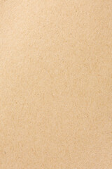 Brown cardboard sheet of paper background