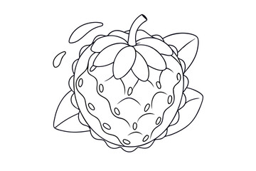 Cherimoya Fruit Illustrated in Colorful Line Art Vector Fresh and Detailed