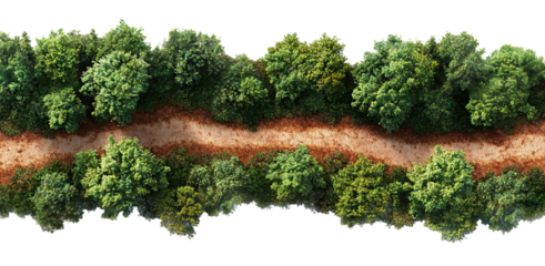 Aerial view of a forest path surrounded by green trees, isolated on transparent cutout background
