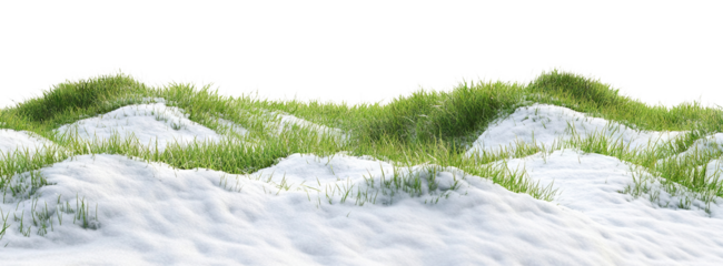 Scenic grassy landscape with snow patches, isolated on transparent cutout background
