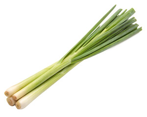 A fresh lemongrass stalk isolated on a transparent background