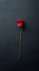 Beautiful red rose with blood-like droplets on a dark textured background.