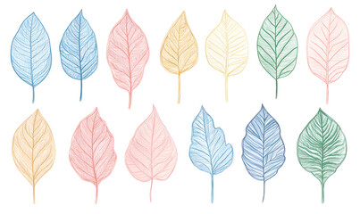 Fototapeta premium floral and leafy illustrator elements for card, wallpaper.
