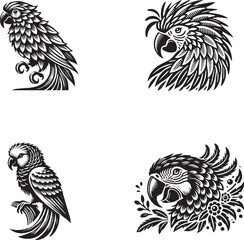 Vector Silhouette Illustrations of Parrots in Various Poses