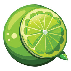 lime vector illustration on a white background