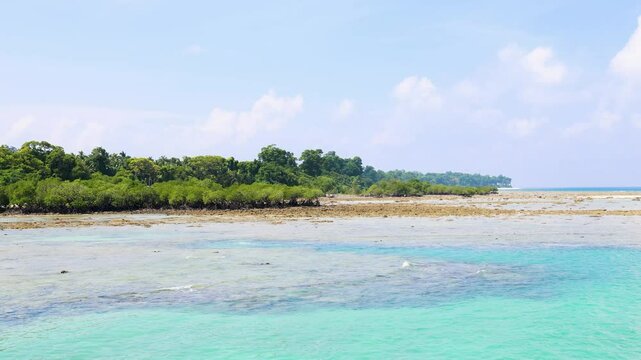 Blue Sea Coastline with Mangrove Forest Under Bright Sky at day