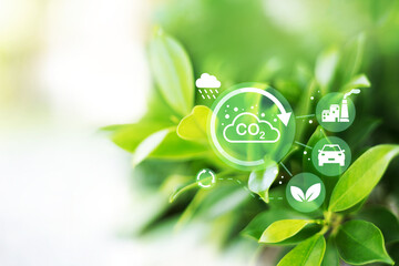 O2 bubbles in the green leaf plants absorb carbon dioxide and release oxygen into the air. oxygen...