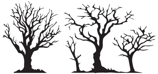 Lifeless trees with branches isolated on white background