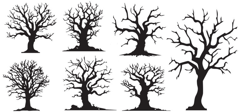 Dead Trees, Naked trees silhouettes isolated on white background