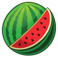 watermelon vector illustration on a white background