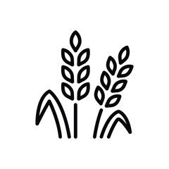Obraz premium Black line icon for wheat