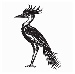 Roadrunner vector illustration. Roadrunner silhouette vector illustration 