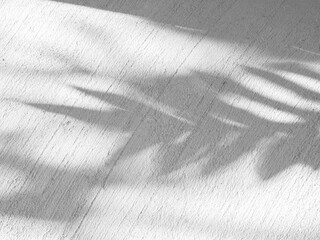 Grey background shadow greadation flower peach nude color gradient pastel abstract leaves pattern blur marble, mockup aesthetic wallapaper valentine sele presentation card overlay summer backdrop.