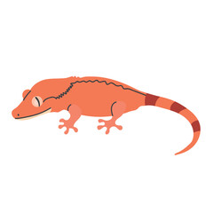 Сrested gecko icon clipart avatar logotype concepte isolated illustration