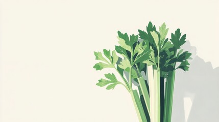 Fresh Celery Stalks with Lush Green Leaves on White Background - Minimalist Food Still Life