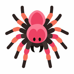 Captivating Pink Toe Tarantula on Clean White Background