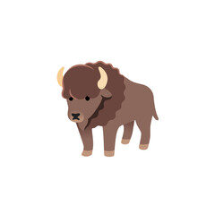 Bison
