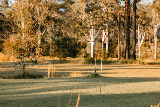 Ragged red flag on golf course
