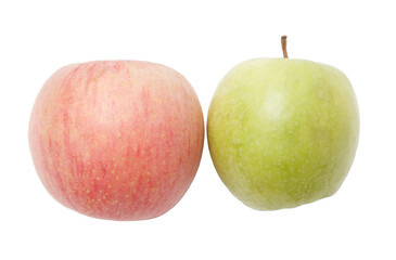 Two apples, one red and one green