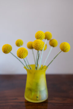 Billy Buttons in yellow vase with grey background