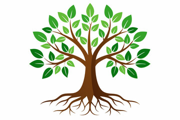 Tree with green leaves
