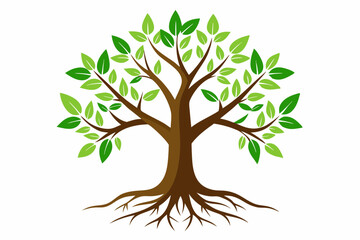 Tree with green leaves