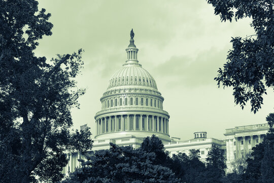 Fototapeta US Capitol Building - Washington DC United States