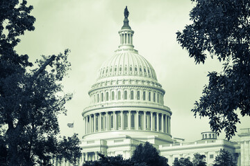 US Capitol Building - Washington DC United States