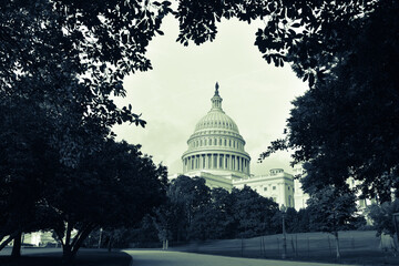 US Capitol Building - Washington DC United States