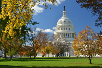 US Capitol Building in autumn foliage - Washington DC United States