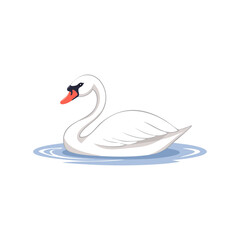 Fototapeta premium Elegant White Swan Gracefully Swimming in Calm Water