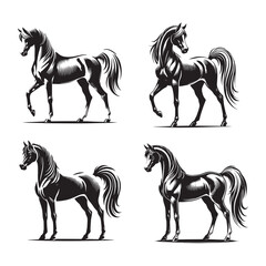 4 Set of Black Standing Arabian Horse Silhouettes Isolated on White Background