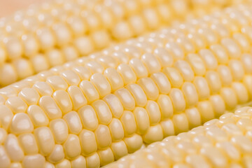 Fresh yellow corn close up