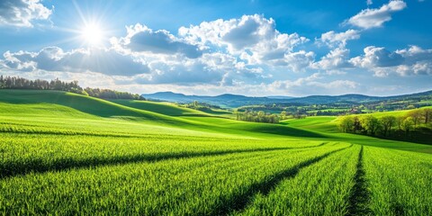 Naklejka premium Vibrant green fields and a bright blue sky create stunning rural landscapes. Experience the beauty of green fields and blue sky in this picturesque rural setting.