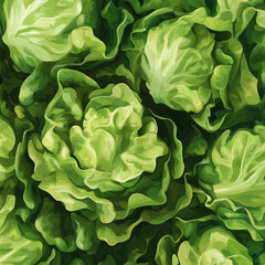 Obraz premium lettuce