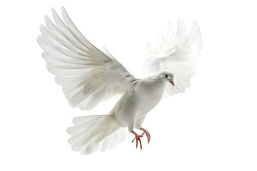 White Dove Flies Gracefully with Wings Spread on Dark Background, Freedom Concept.